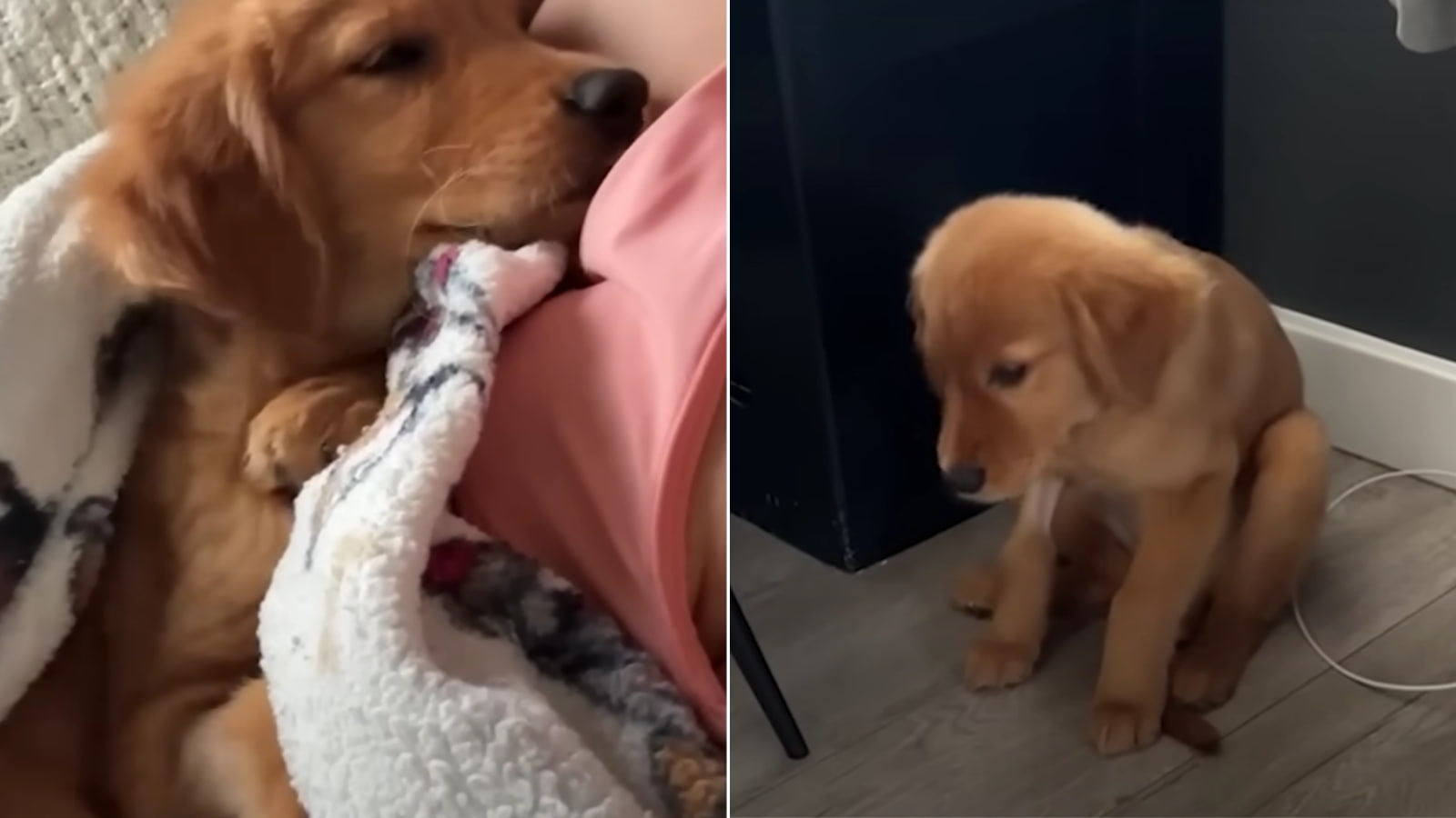 Grace found love and health in her foster family’s care.